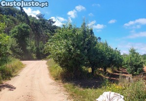 imagem_3