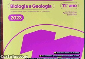 imagem_8