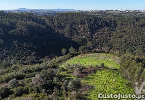 Terreno Agrícola em Mafra