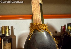 imagem_6