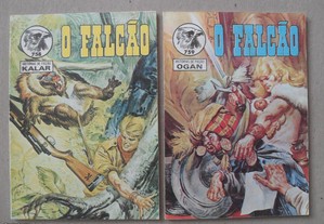imagem_6
