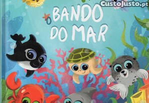 imagem_1