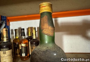 imagem_3