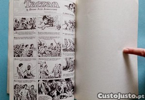 imagem_7