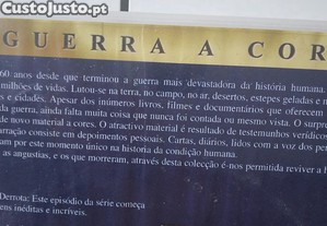 imagem_6