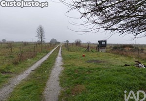 Terreno Agrícola em Almeirim