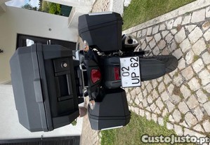 imagem_3