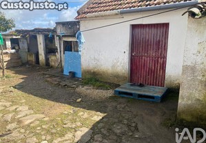 imagem_12