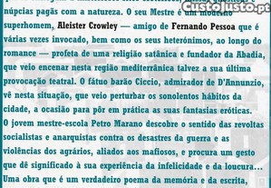 imagem_4