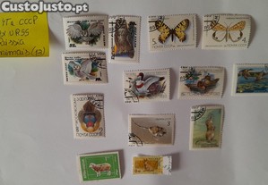 imagem_4