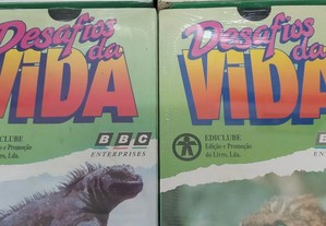 Cassetes VHS Desafios da Vida - Bom estado