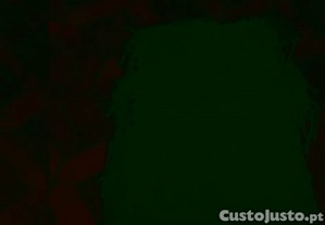 imagem_8