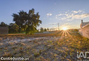 Terreno Agrícola em Marinha Grande