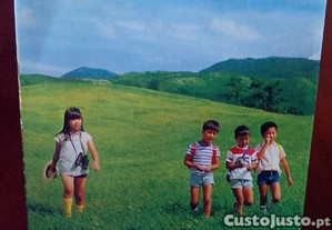 imagem_4