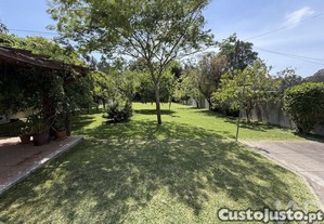 imagem_29