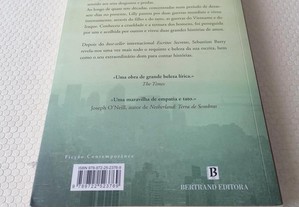 imagem_2