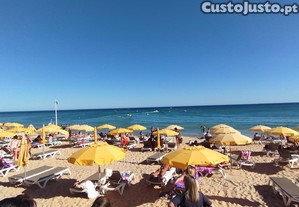 imagem_11