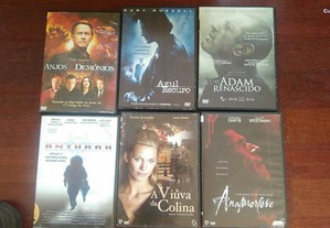 imagem_9