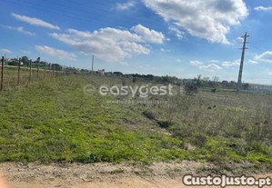 imagem_10