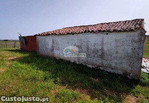 imagem_7