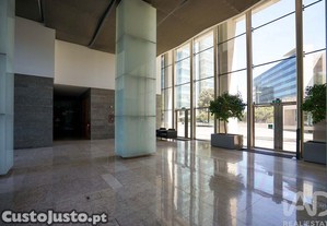 imagem_20
