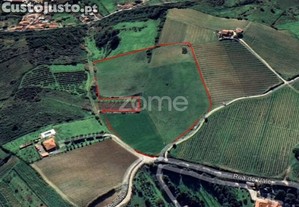 Terreno Rústico Em Lugar Dos Carneiros,...