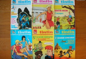 imagem_8