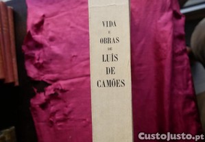 imagem_7