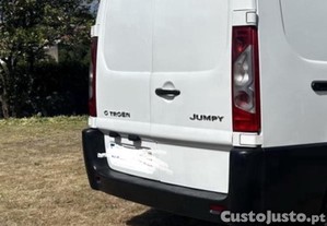 imagem_1