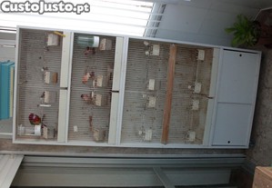 imagem_2