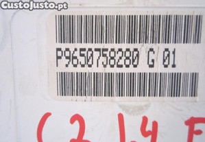 imagem_3