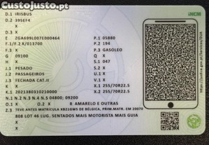 imagem_22