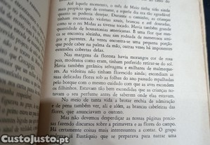 imagem_5
