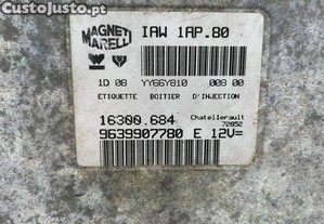 imagem_3