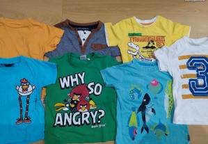 Conjunto de 7 t-shirts para criança - 2 / 3 anos