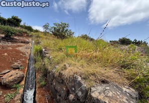 imagem_9