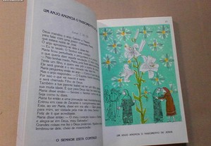 imagem_5