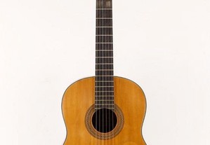 Guitarra Acústica George Washburn Nº C 10N 6 Cordas