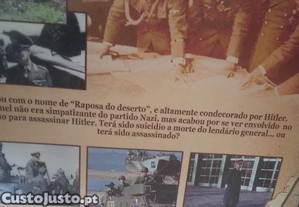 imagem_6