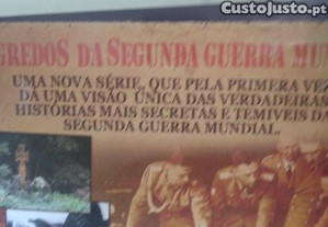 imagem_7