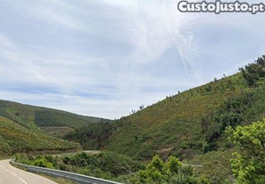 Terreno Rstico | Pescanseco Fundeiro | Pampilhosa da Serra