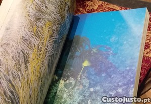 imagem_9