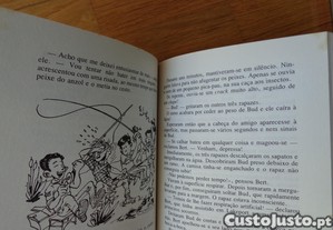 imagem_3
