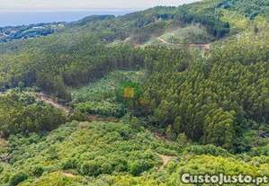 imagem_7
