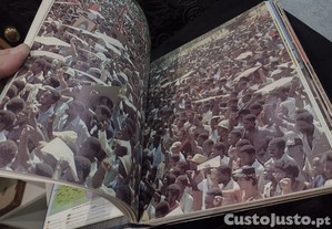 imagem_7