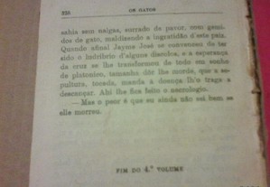 imagem_8