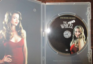 imagem_4