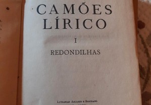 imagem_7