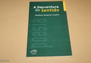 A Desventura do Sentido de António Teixeira e ...