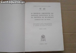 imagem_3